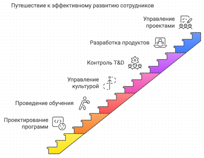 Этапы эффективного развития сотрудников