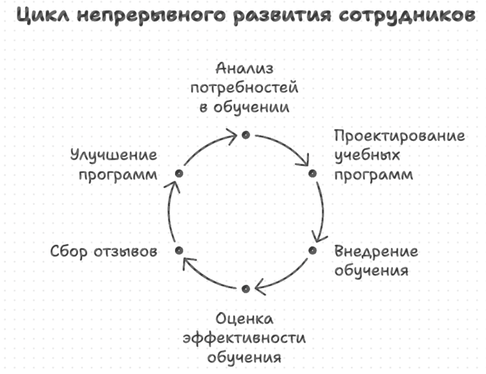 Цикл непрерывного развития сотрудников